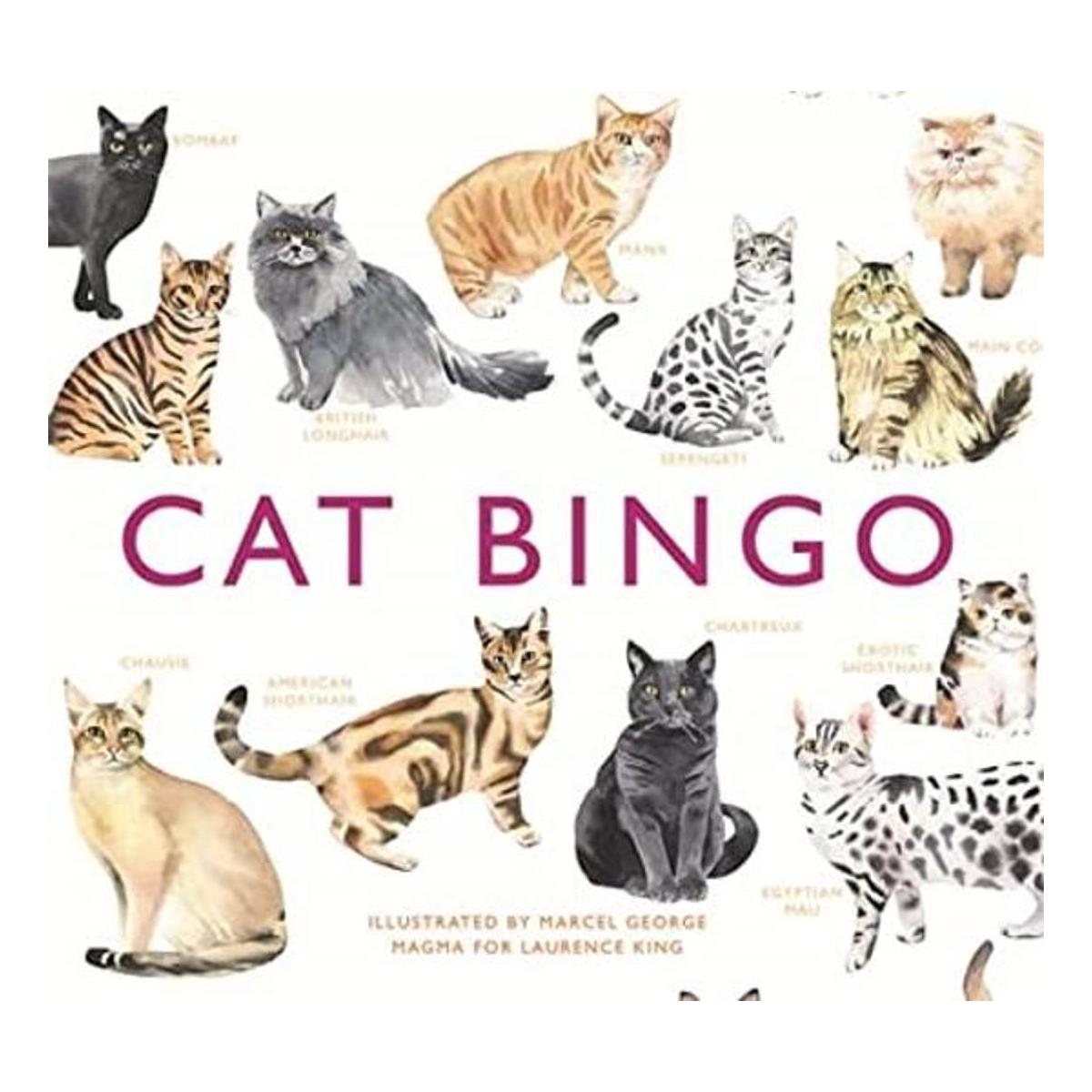 Cat Bingo Magma para Laurence King