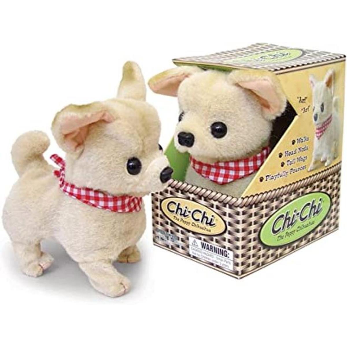 Chihuahua ChiChi