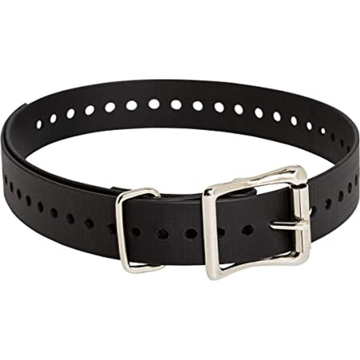 Correa SportDOG