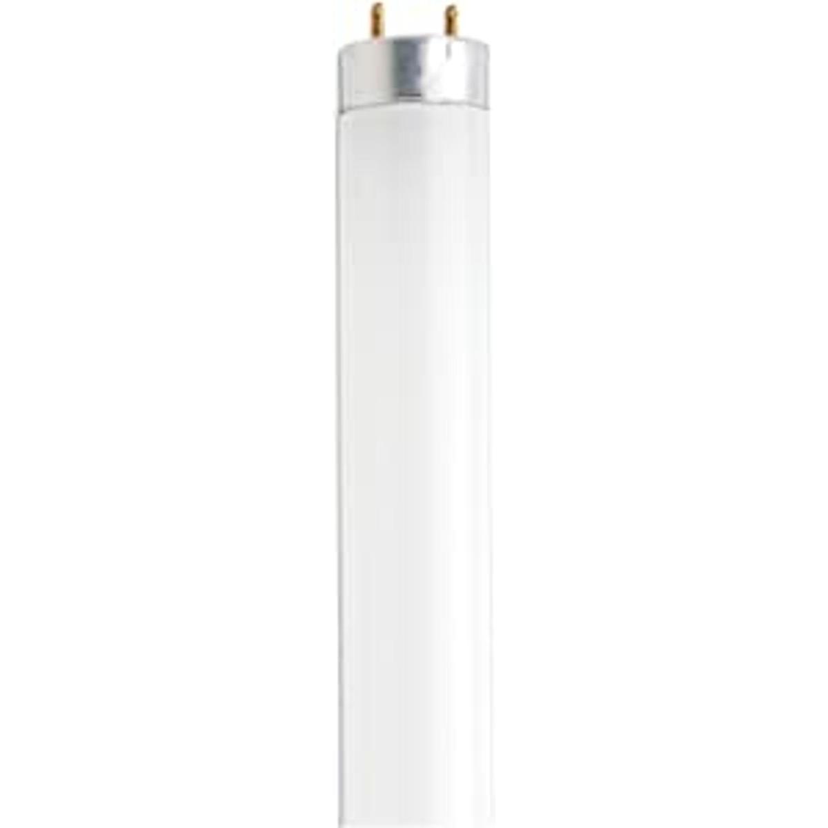 Lámpara fluorescente T8