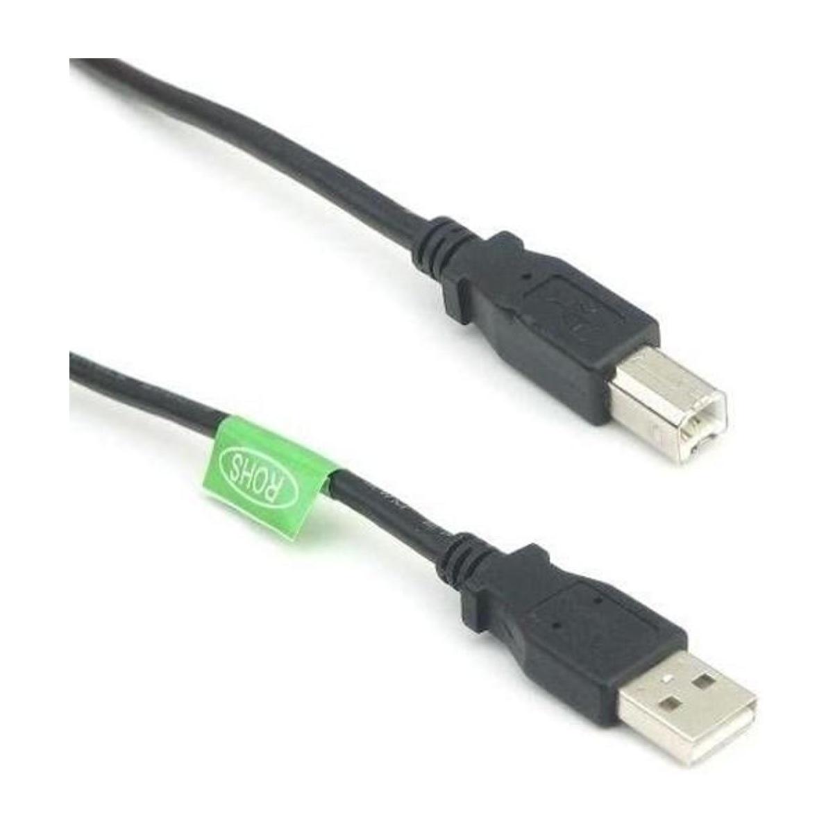Cable USB 2.0 AB 1 ft