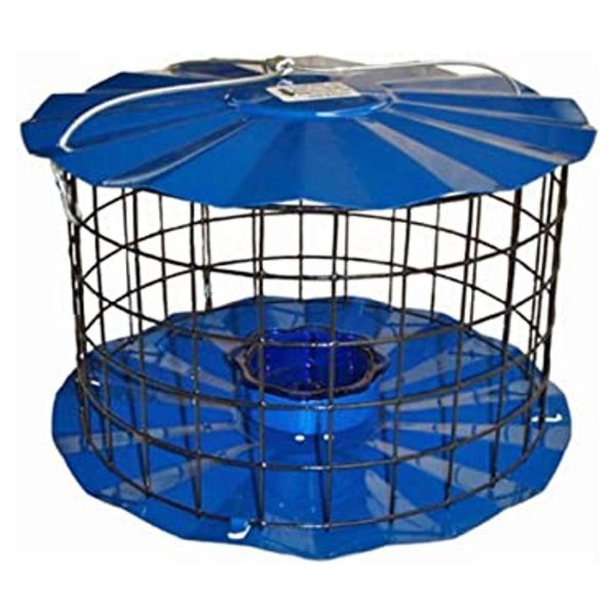 Comedero Bluebird
