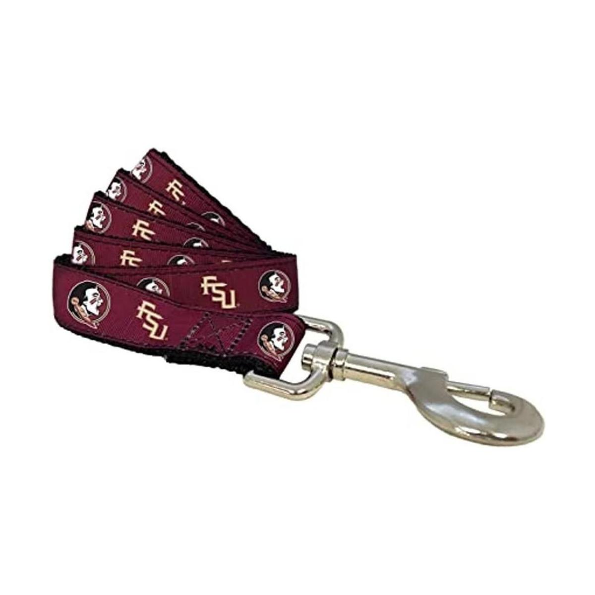 Correa para perro Florida State