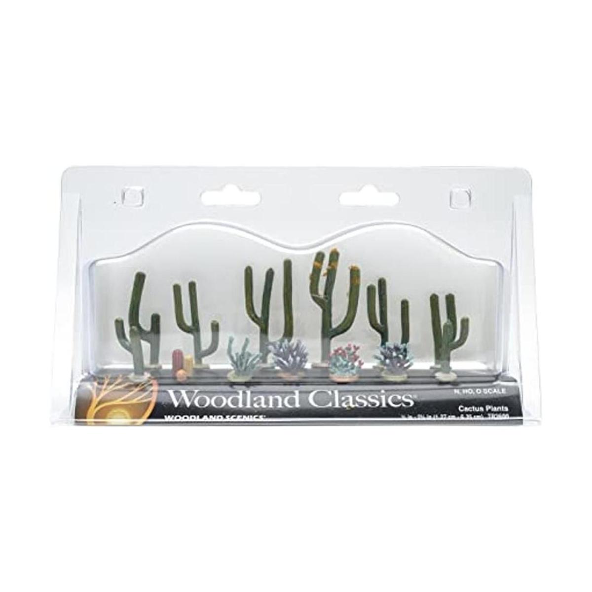 Plantas de cactus de plástico