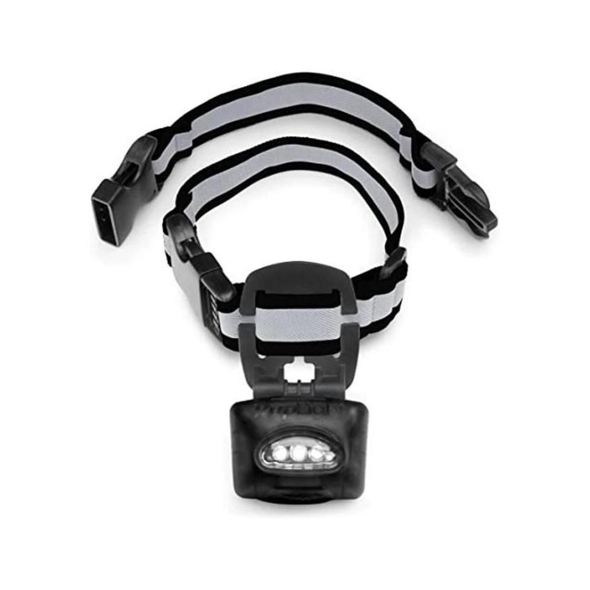 collar de seguridad para perro