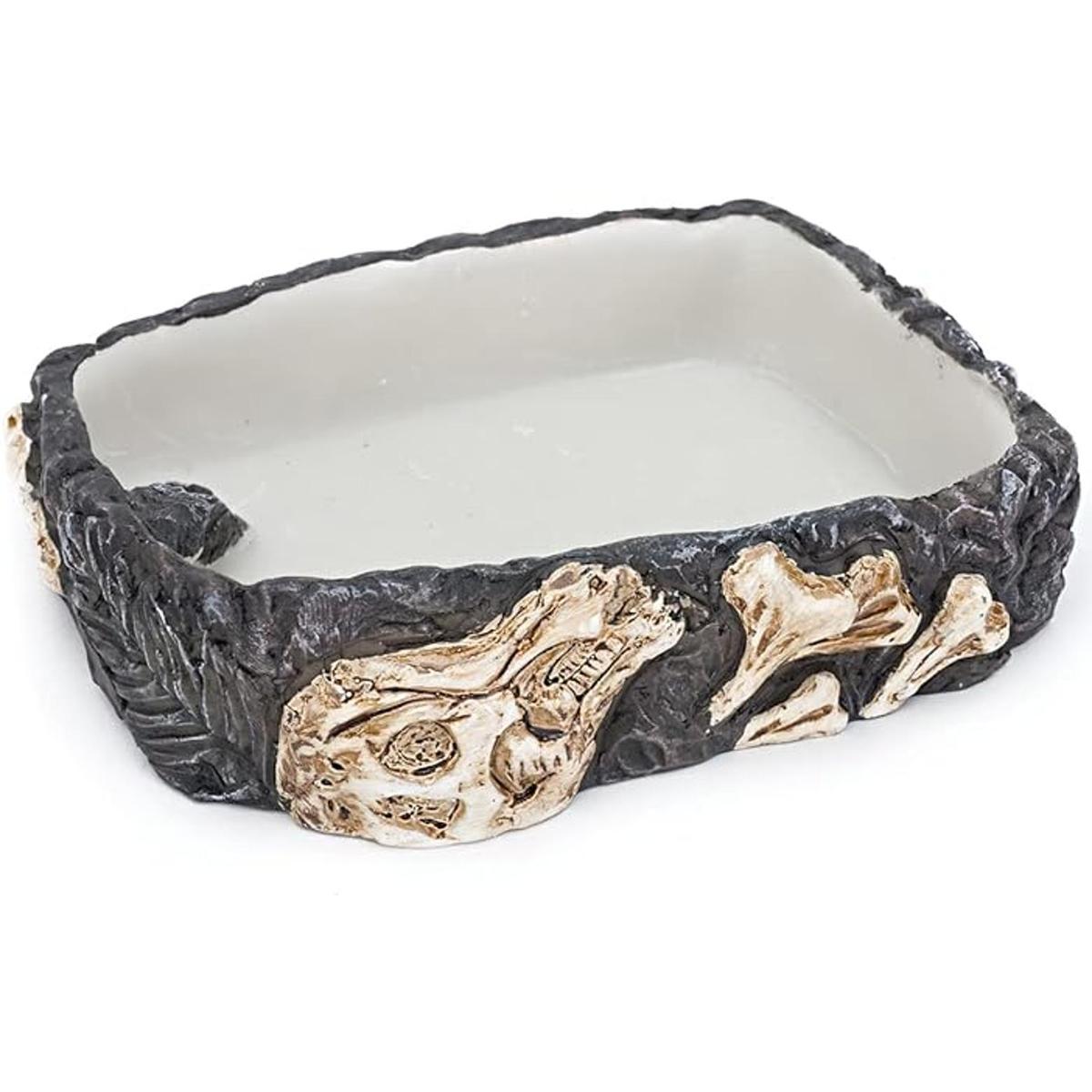 Dish para reptiles