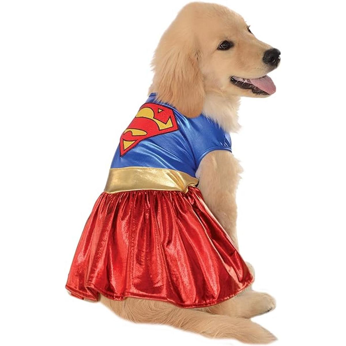 disfraz de perro Superchica