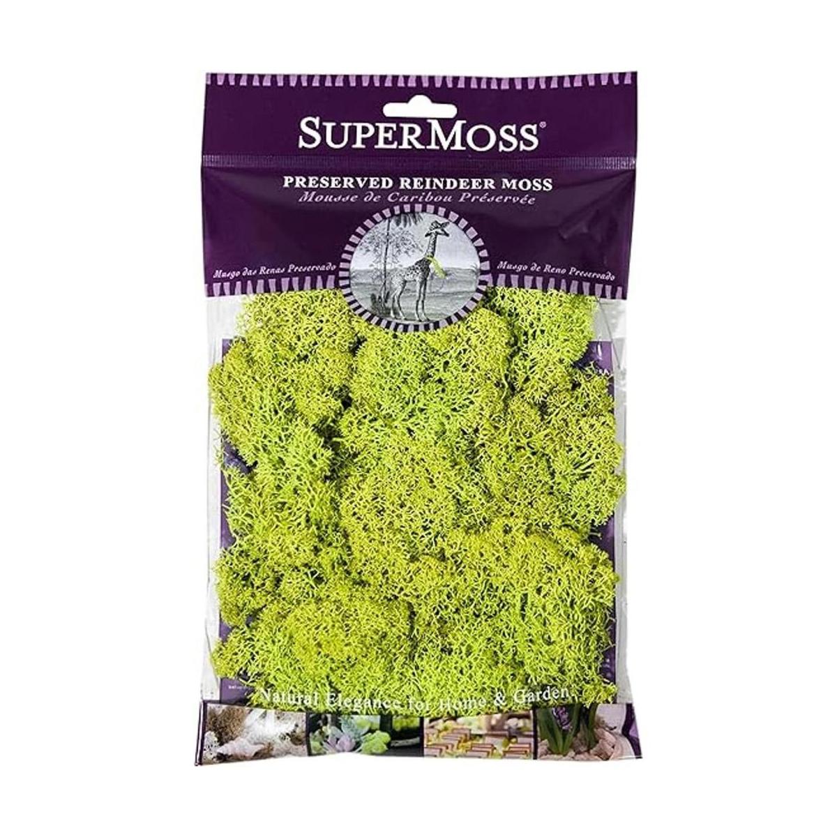 Musgo preservado SuperMoss