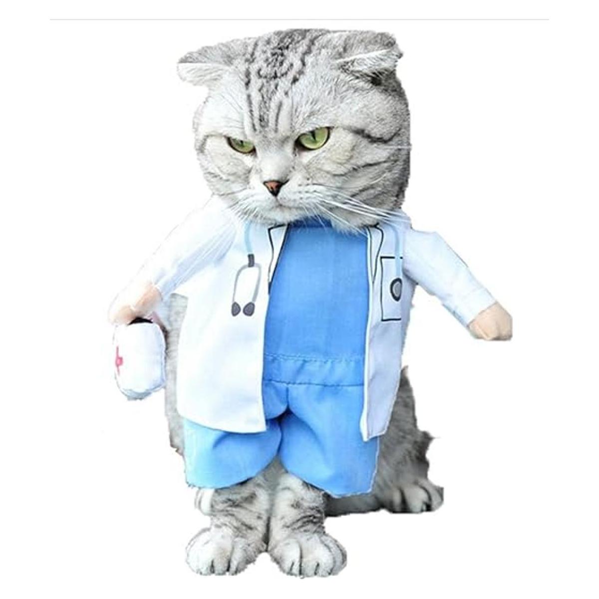 Disfraz de perro o gato de Halloween