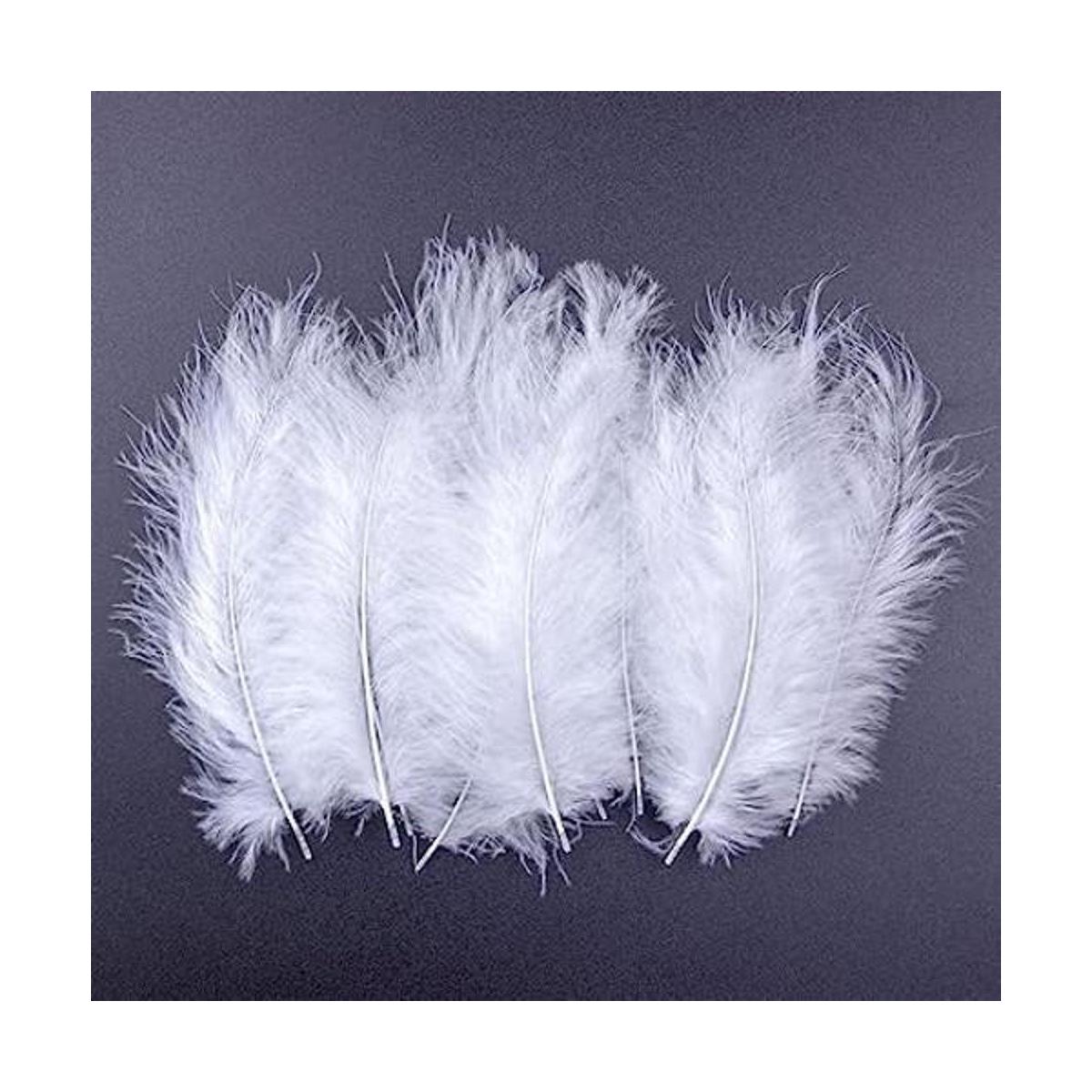 Plumas blancas de pavo esponjoso