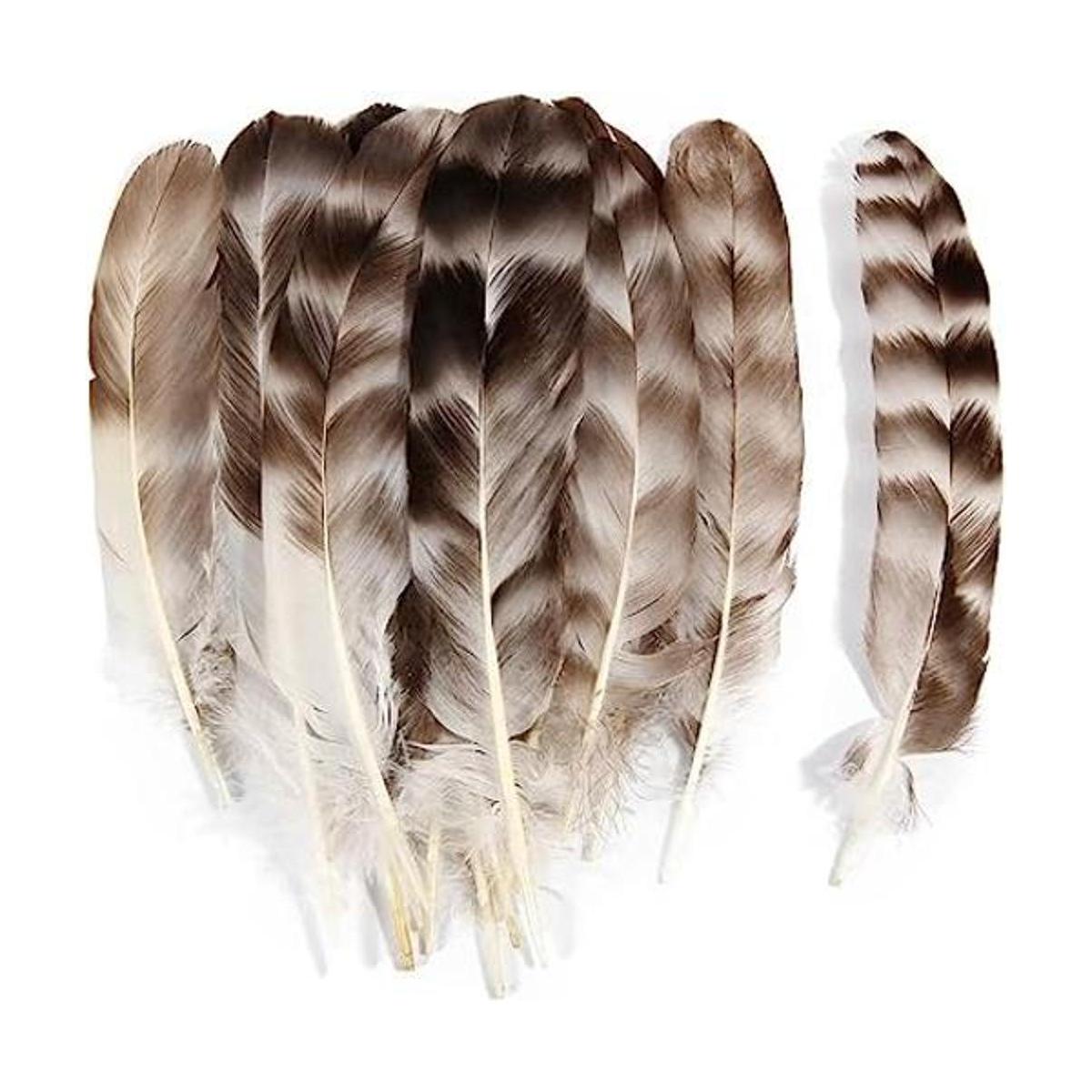Plumas de chinchilla gris natural