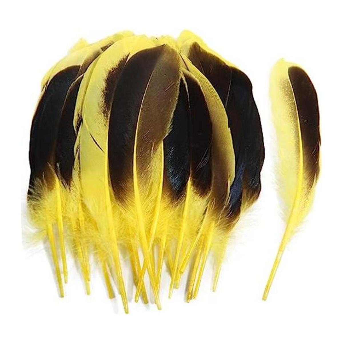 Plumas de pato naturales