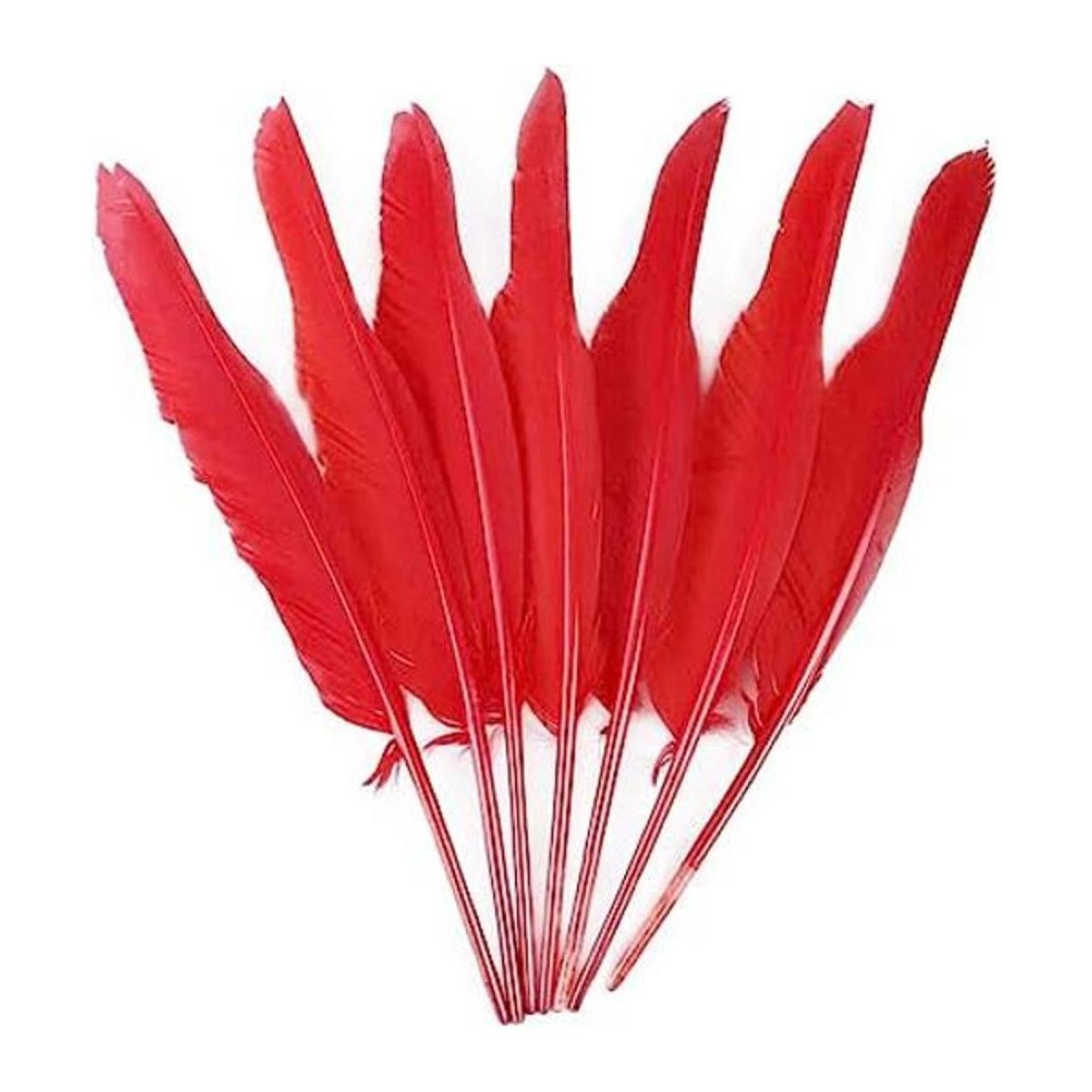 Plumas rojas para decoración