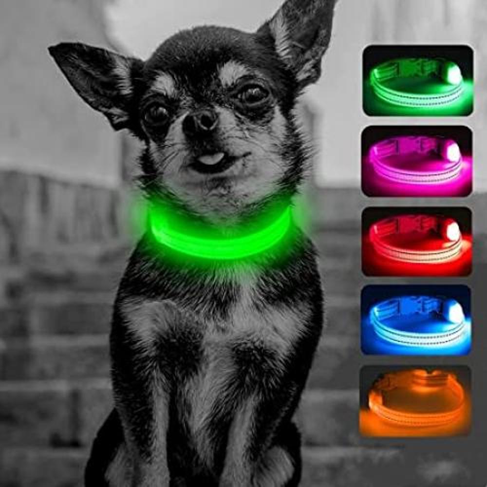 Collares LED para perros pequeños