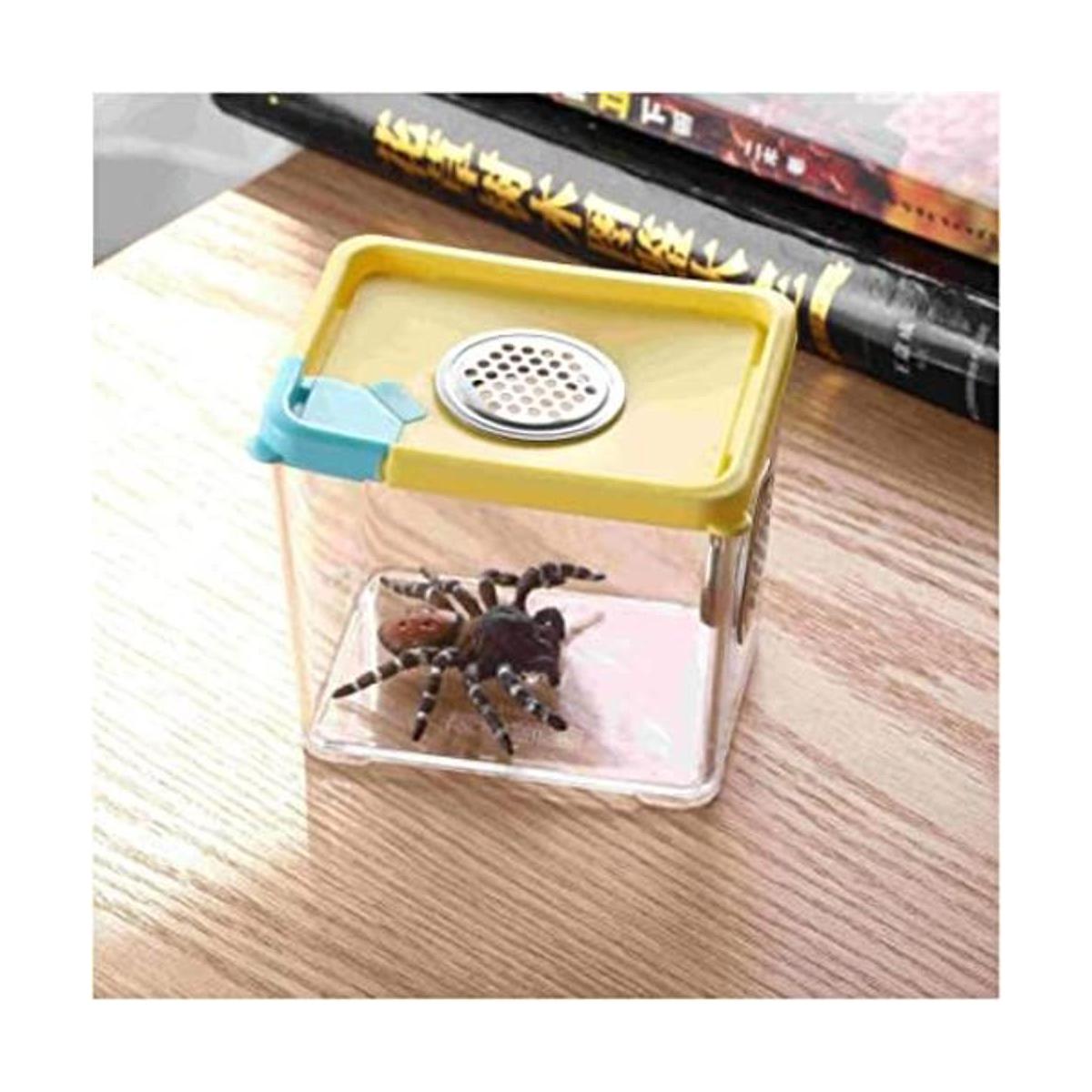 jaula para insectos