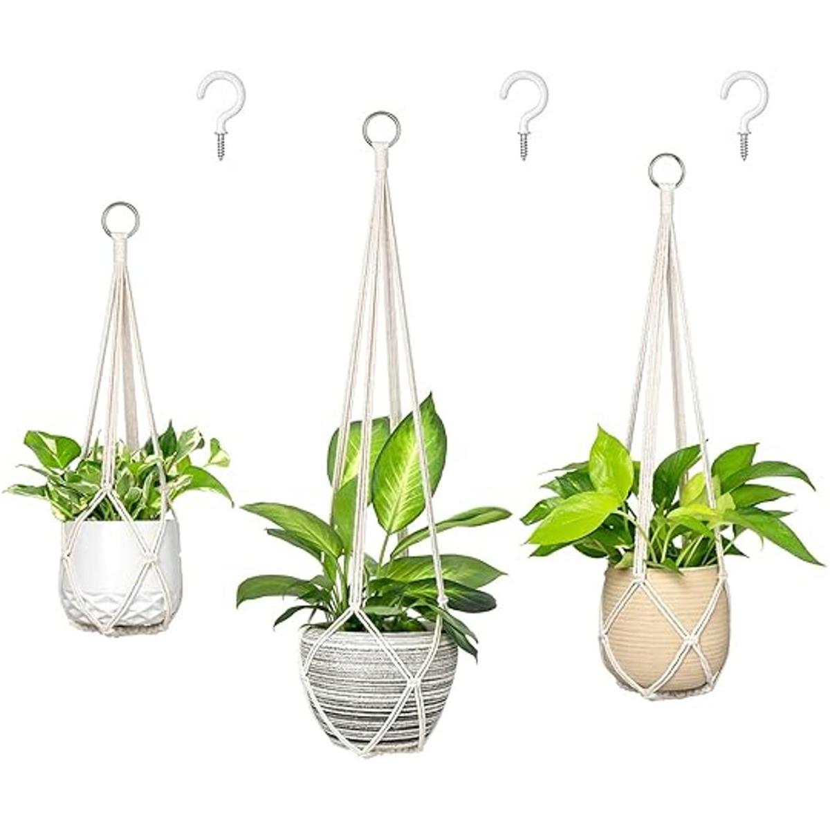 Juego de perchas para plantas de macramé