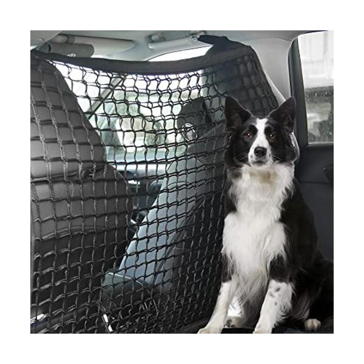 Barrera de coche para perro